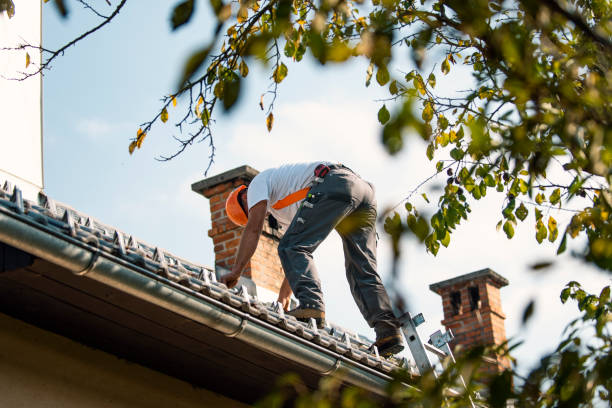 Best Best Roofing Contractors  in Roberta, GA