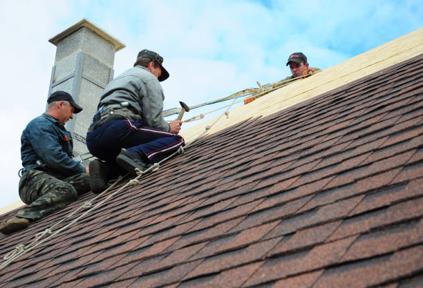 Best Roof Repair Services  in Roberta, GA