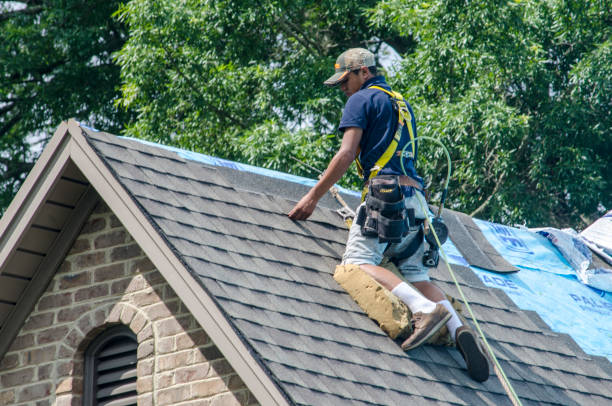 Best Roof Gutter Cleaning  in Roberta, GA